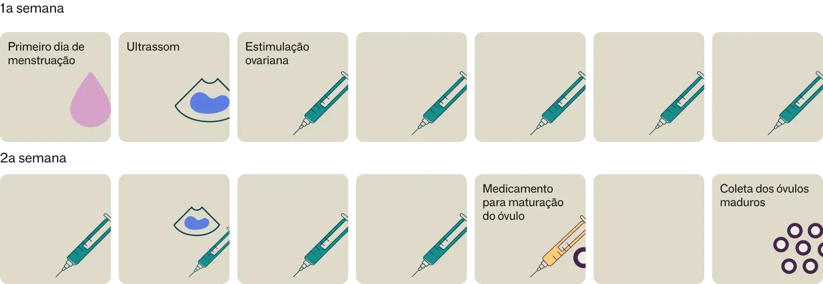 Calendário do congelamento