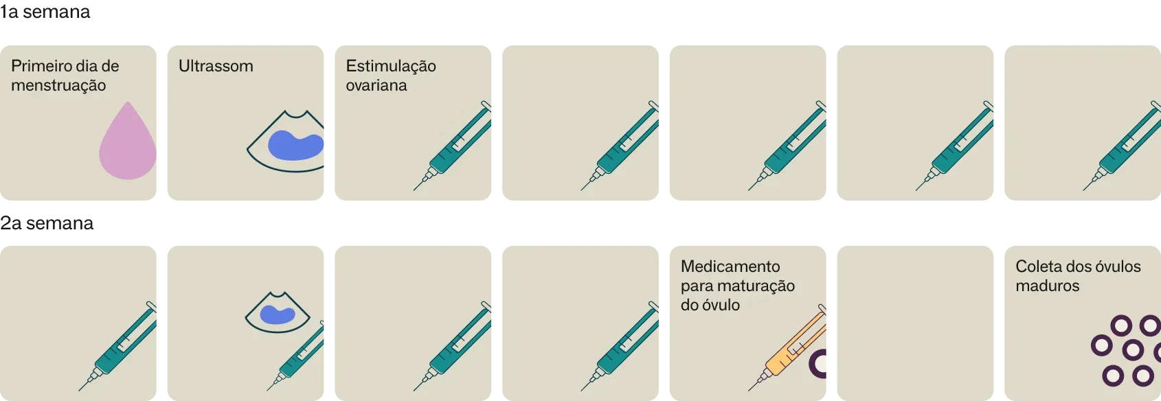 Calendário do congelamento