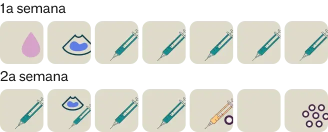 Calendário do congelamento